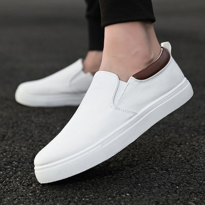 Comfortable Canvas Men's Sneakers